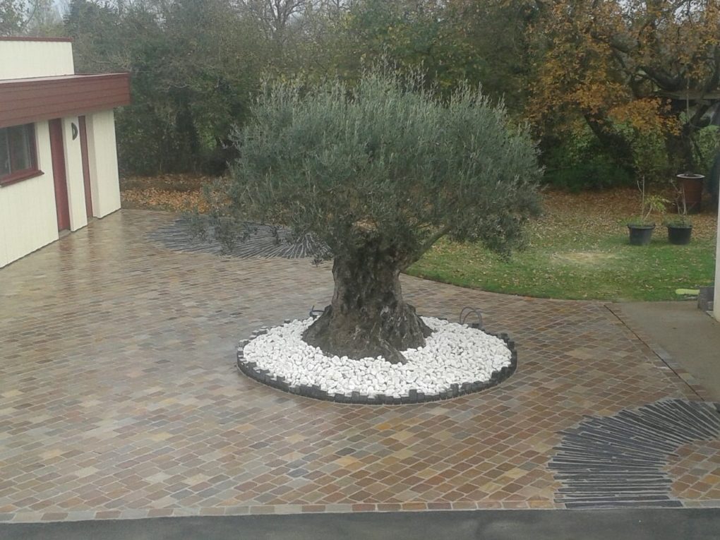 BRUNEAU PAYSAGES Terrasse Et Allées 06