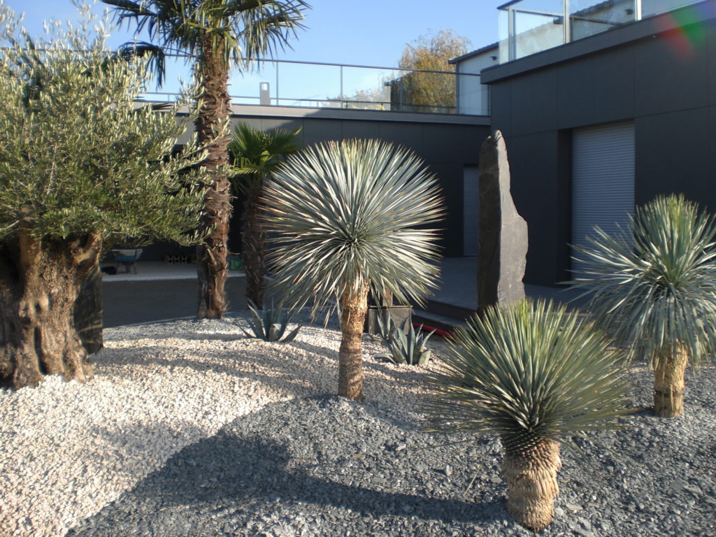BRUNEAU PAYSAGES Terrasse Et Allées 24
